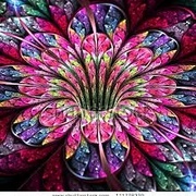 Image_card