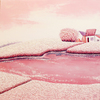 Ng_lam565_thumb