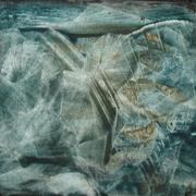 Bild_992_card