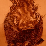Warthog_s_run_card