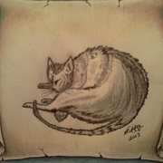 634936378882959684-leonardo-di-vincis-the-sleeping-cat_card