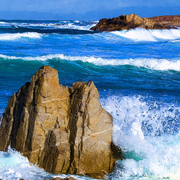 Asilomar_rollers_card