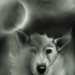 Perro__3__square