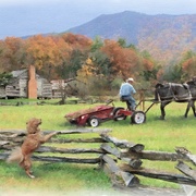 Image_card