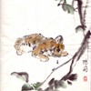 Ch-120-mini_tiger_cub___ants_thumb