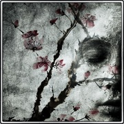Facetree_card