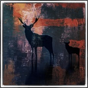 Deers_card