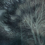 Dscn0214