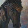 Cavallo_thumb