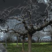 Dscn0208