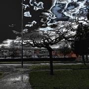 Dscn0211