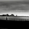 Shore_road_-passeio_thumb