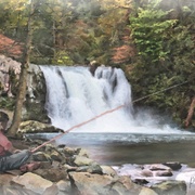 Image_card