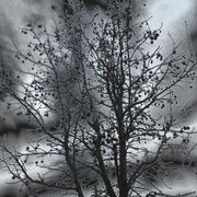 Dscn0279
