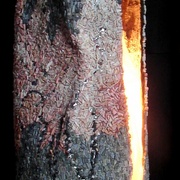 24-b_card