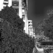 Dscn0259