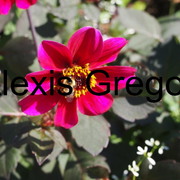 58_card