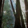 Img_3178b_thumb