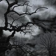 Dscn0277