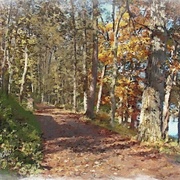 Image_card