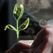 Life_card