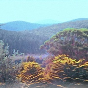 Image_card