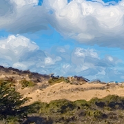 Marina_state_beach_dunes_iv_card