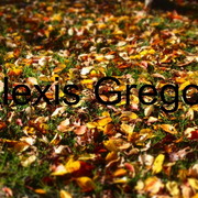 Pic16_card