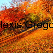 Pic20_card