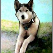 Dogs-day-on-the-dune-brenda-garacci-a5950_card