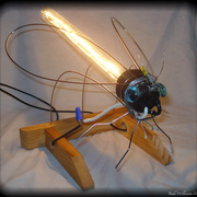 Light_bug__11__card
