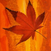 October_light_card