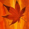October_light_thumb