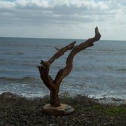 Sky_011_card