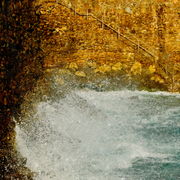 Cove_surge_card