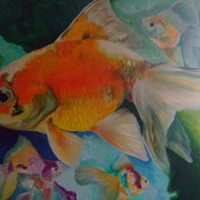 Dscf5080_card