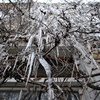 Icicles_4_thumb