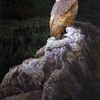 Barnielightsmall_thumb