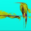 5113c5_thumb