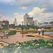 Image_card
