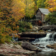 Fall_card
