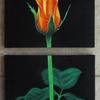Yellow_rose_-__2__8_x_10_-__175_thumb