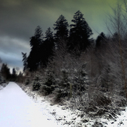 Januarmorgen_6_1_2012_card