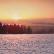 Morningwalk_card
