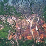 Image_card