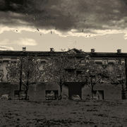 Dscn0329