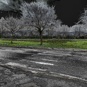 Dscn0354