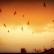Dscn0329
