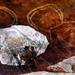Keep_river_aboriginal_art_square