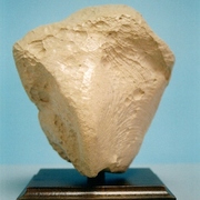 Ps-14_card